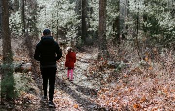 Nature Walk