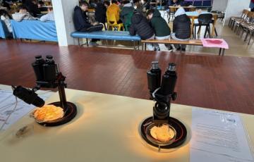 Fungos na mostra do CCV