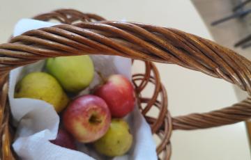 Comemoração do Dia Mundial da Alimentação