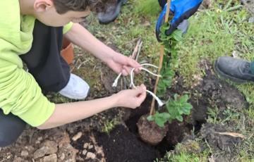 Disciplina Carbono Zero