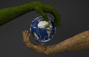 Eco-Escolas | Feira da Troca