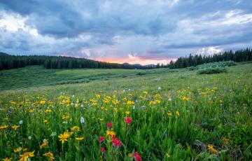 Nature Walk | 2025